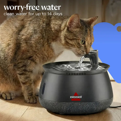 BISSELL HydrateWell™ Cat Water Fountain – Fresh, Filtered Water with Ultra-Quiet Wireless Pump