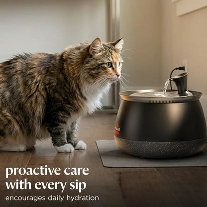 BISSELL HydrateWell™ Cat Water Fountain – Fresh, Filtered Water with Ultra-Quiet Wireless Pump